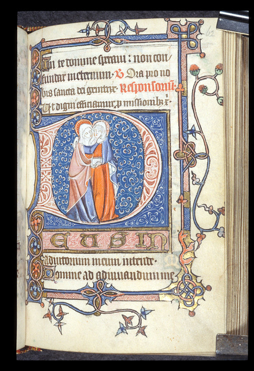 jothelibrarian:Pretty medieval manuscript of the day is another depiction of the visitation. The Gos