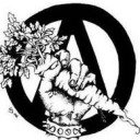tenderanarchist:Not to be a naive optimist but you’d really think humanity would