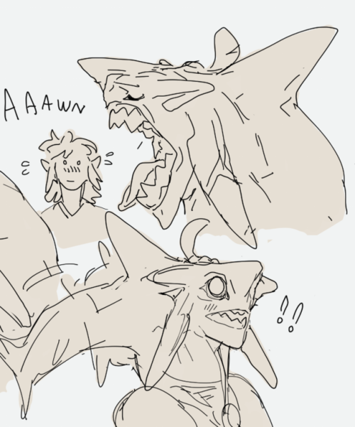 silvermender:Sidon tries to reassure Link in ways that just hint at how scary/wonderful having a sha