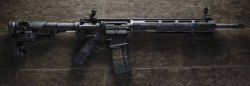 556operateitfagget:  Finished customizing my AR. 