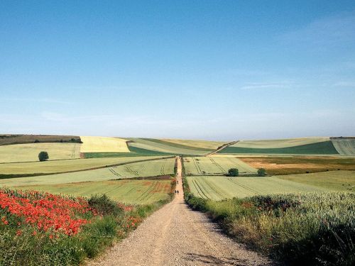 lemondeabicyclette:  Michael George (Camino Frances)