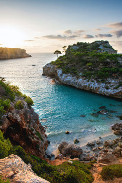 stayfr-sh:  Mallorca Sunrise 