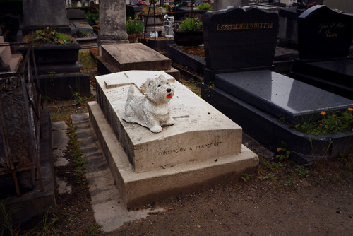 ofbeautsandbeasts:   Père Lachaise Cemetery Pt. 3 - Statues Edition - May 2018 If you have to be dead, be dead in style.