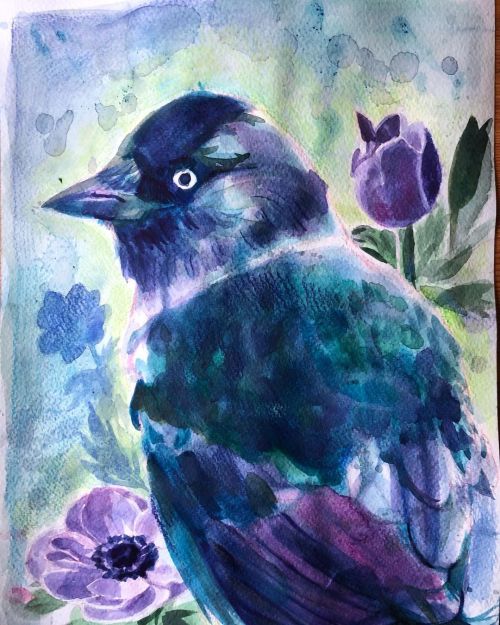 ”Naakka” watercolor on 300 g/m paper, 24 x 32 cm. ✨ Hiya! Love these birds, they make su