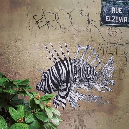 steampunktendencies:Street Art in Paris  adult photos