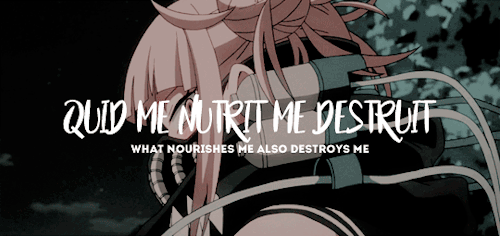Bnha + Latin Proverbs 