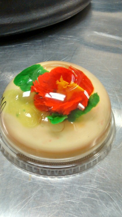 Porn Gelatin with flower inside photos