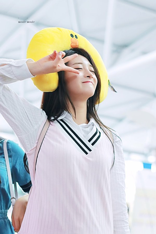 fyjieqiong:  © wander wonder // do not edit or crop logo