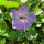 beautyofbbwsworld-deactivated20: