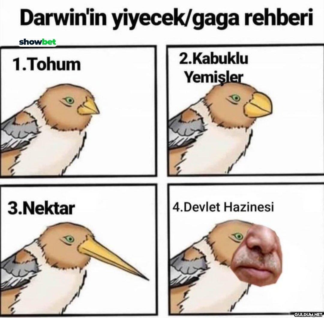 Darwin'in yiyecek/gaga...