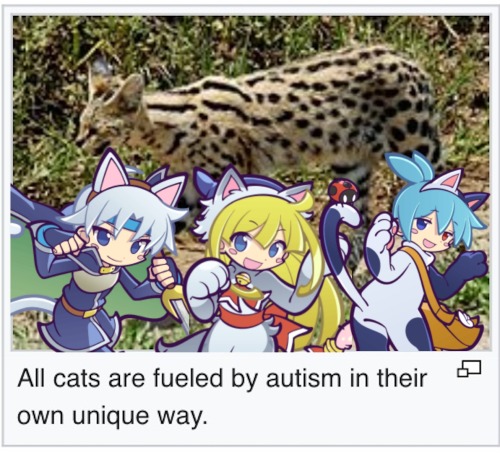 More Silly Puyo Images I Made Most Of Them Being Lemres/lemschez Related