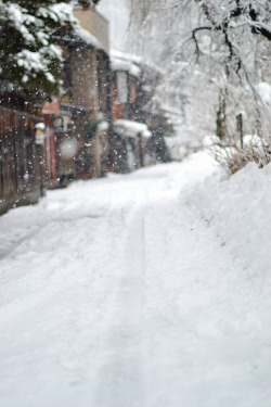 fuckyeahjapanandkorea:  雪道・a snowy