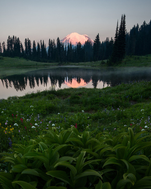 Rainier Serenity by Michael Hitchner website | 500px | instagram