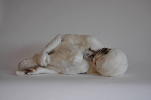 LUCY GLENDINNING