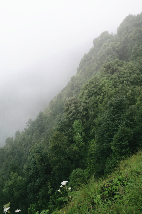 Untitled by Maryam Benoit