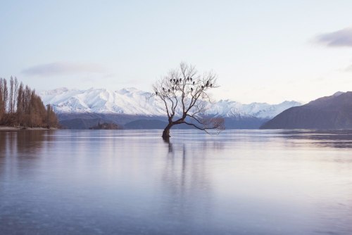 wildfireworld: Wanaka, New Zealand