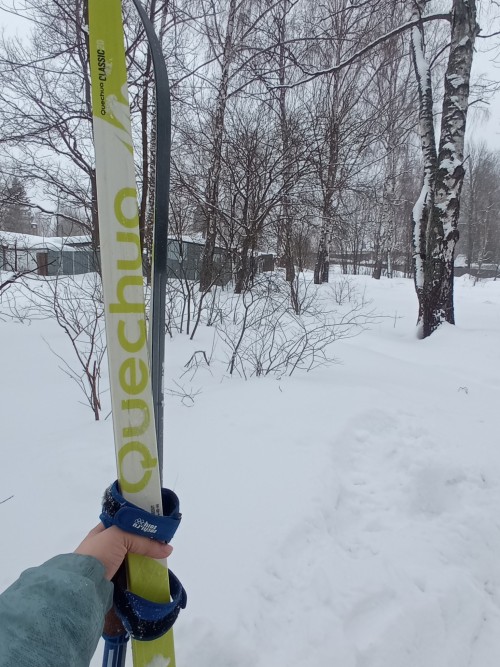 Well.. The 4th Day Of Spring, Huh