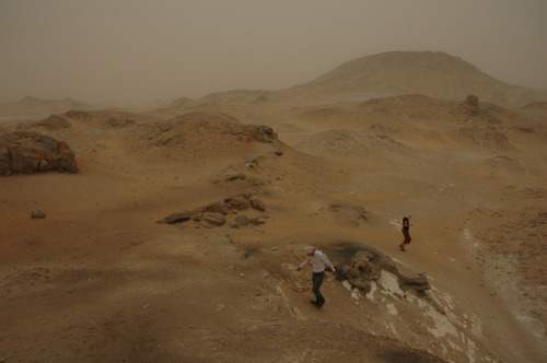 The White Desert, 2007