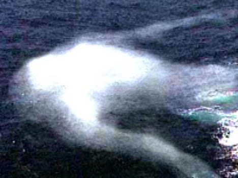 323k:  cryptid-wendigo:  The Ningen (  人 “human”) is a strange humanoid creature