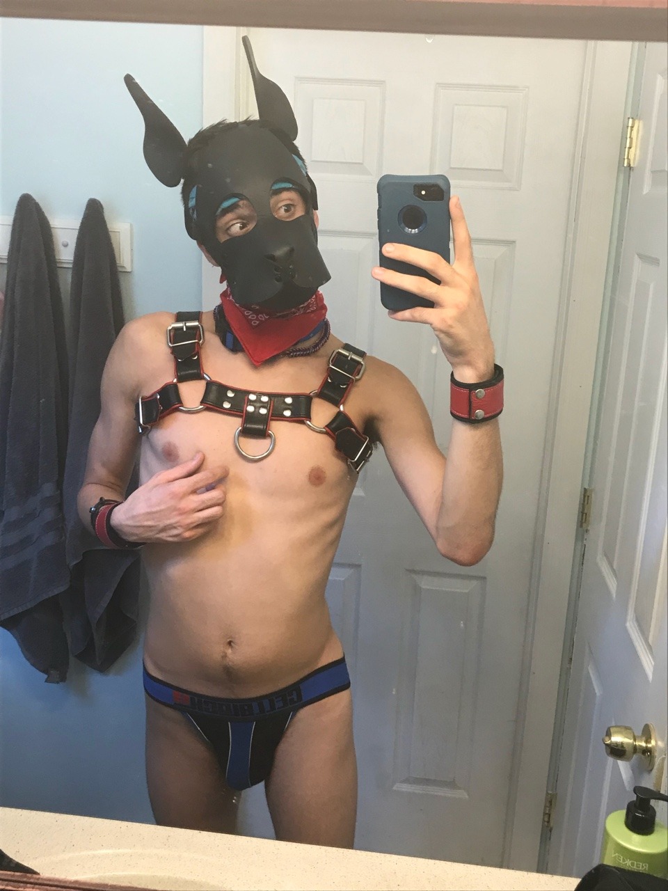 pupholstergunner:  I may look innocent but those who know me, know that’s false