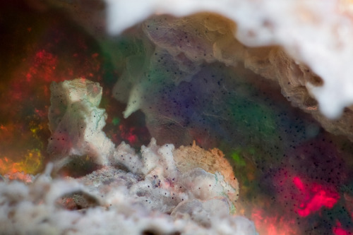 A Close Thing.3mm field of view inside #opal from Jalisco, Mexico.White #rhyolite matrix added pleas