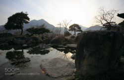 socialfoto:Outdoor garden by Sulrang #SocialFoto