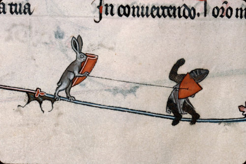 wifeofbath: savagedamsel: medievaliz: discardingimages: killer rabbit Summer volume of the Brev