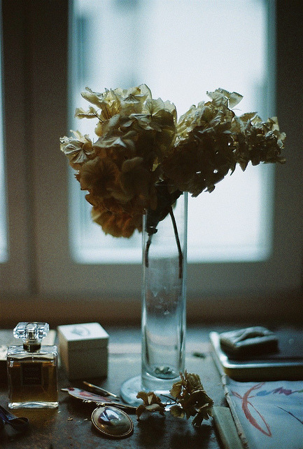 ankle-s:  dryflower by MARGUERITE GISELE on Flickr. 