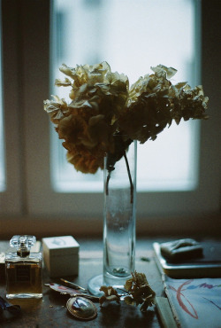 Ankle-S:  Dryflower By Marguerite Gisele On Flickr. 