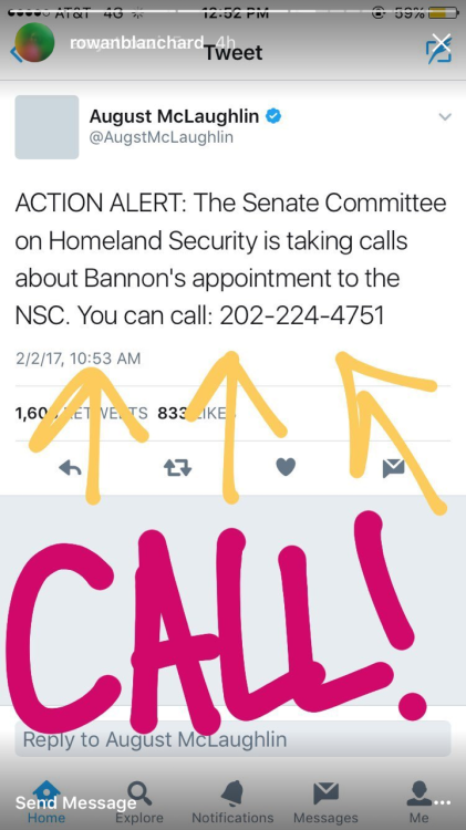 seriesofnonsequiturs:“The Senate Committee on Homeland Security is taking calls about Stephen Bannon