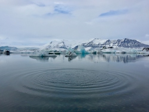 Glacier Lagoon, Iceland ©Rich Goenne