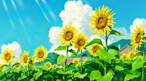 STUDIO GHIBLI + Flowers
