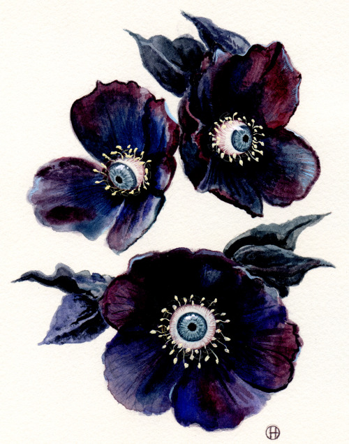 Helleborus (close up) Watercolour and gauche on watercolour paper by Celene Bridge