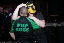 Pup Boss @ Human Pup Play dinner in Sydney