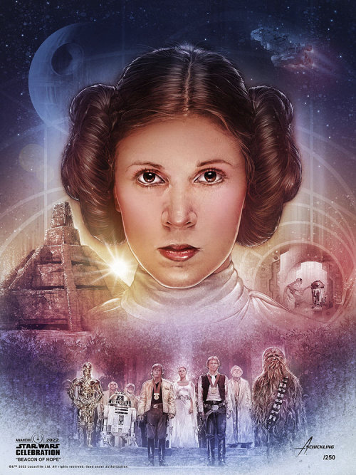 gffa: STAR WARS CELEBRATION ANAHEIM 2022 ART SHOW “Beacon of Hope,” Adam Schickling “Princess Leia w