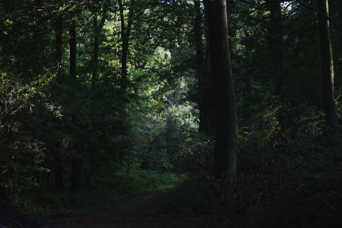 dark foresttumblr | Instagram | Etsy Shop