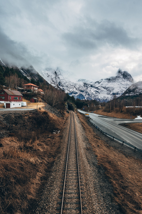 asimplekindofperson:banshy:Norway // Merlin Kafka Quality Vintage/Nature