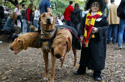 Best Kids Halloween Costumes (SEE 40 MORE)