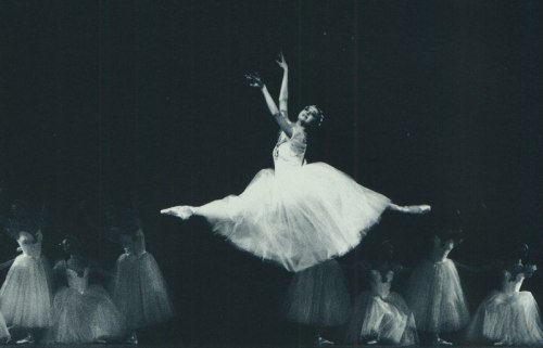 lasylphidedubolchoi:Zhanna Ayupova in Les SylphidesPhoto by A. Orlova