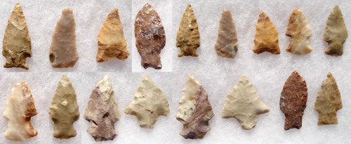 Native American Indian Arrowheads, recovered in Montana, USA Courtesy westernartifacts