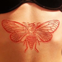 straycatgoddess:  briandecker:  Freshly done cicada #scarification piece. #briandecker #purebodyarts #bodymodification  heres the better picture of it right after it was done. 