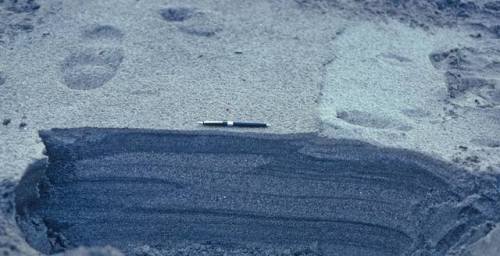 Tiny Thrust A really cool, small-scale example of geologic processes. This is a layered beach sand f