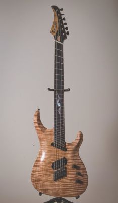 guitarbage:Ormsby SX