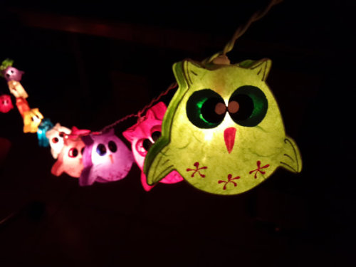 naughtylittlekitten93:  your-kiss-is-torture:  Cottonlight makes handmade lanterns, and I’m sharing this Etsy store out of my infatuation for these lights, not because I’m benefiting from this in any way. Please follow the links provided for more