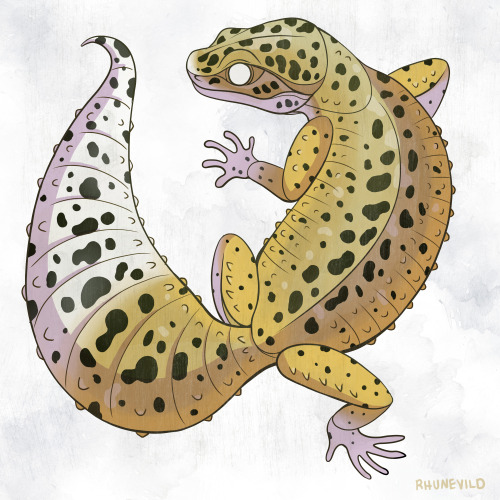 THEY’RE ALL GOOD GECKS, BRONTSome more (old) pet portrait commissions. 