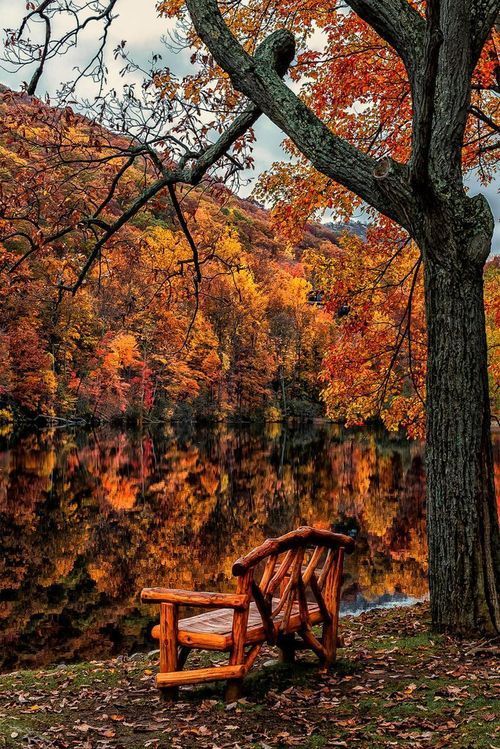 our-amazing-world:  beautiful amazing 