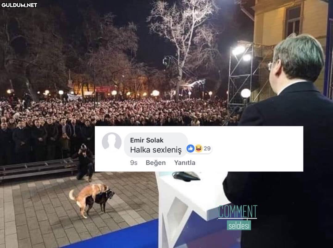 Emir Solak
Halka sexleniş...