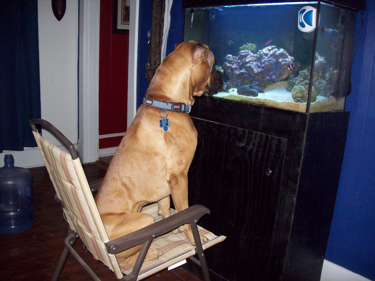 awwww-cute:  someones obsessed 