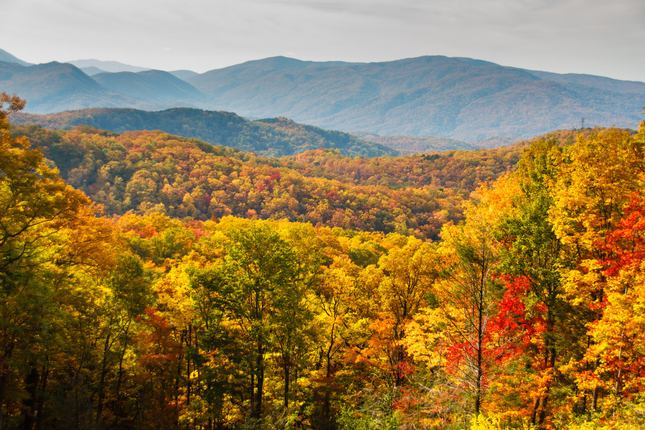 theencompassingworld:  about-usa: Great Smoky Mountains National Park - North Carolina