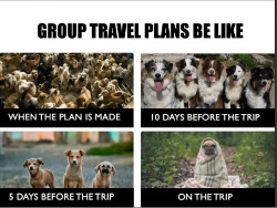 failnation:  Travel Planningshttp://failnation.tumblr.com